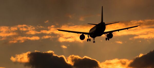 un Airbus A320 (image d'illustration) un Airbus A320 (image d'illustration) - Sputnik Afrique