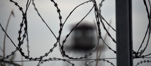 Clôture de fil barbelé - Sputnik Afrique