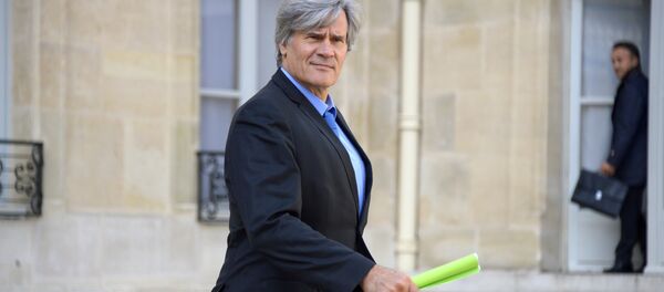 le porte-parole du gouvernement, Stéphane Le Foll - Sputnik Afrique