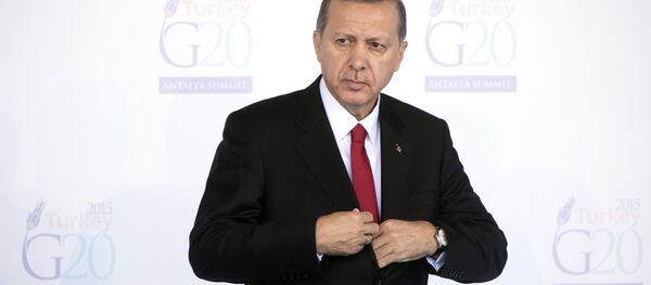 Le président turc Recep Tayyip Erdogan ouvre le sommet du G20 à Antalya, dimanche 15 novembre 2015 - Sputnik Afrique