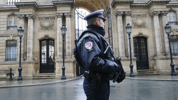 A police officer is in faction in front of the Elysee Palace in Paris - Sputnik Afrique
