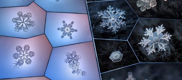 Fascinants flocons de neige - Sputnik Afrique