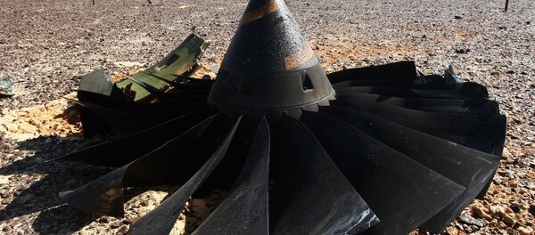Crash de  l'A321 en Egypte - Sputnik Afrique