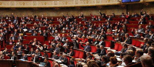L'Assemblée nationale L'Assemblée nationale - Sputnik Afrique