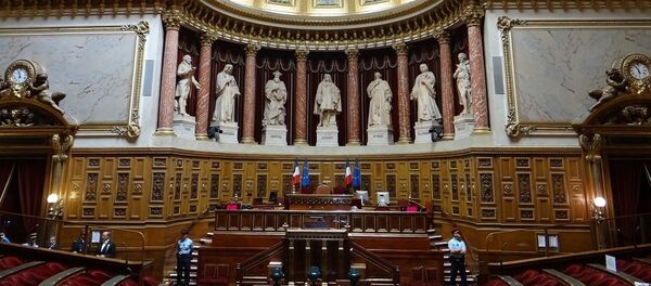 Salle du Sénat - Sputnik Afrique