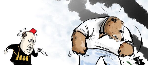 Avion russe abattu par la Turquie: un coup de poignard dans le dos (Poutine) - Sputnik Afrique