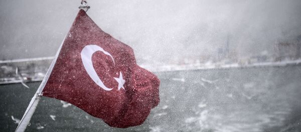 Le drapeau turc - Sputnik Afrique