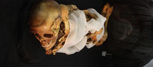 Une momie - Sputnik Afrique