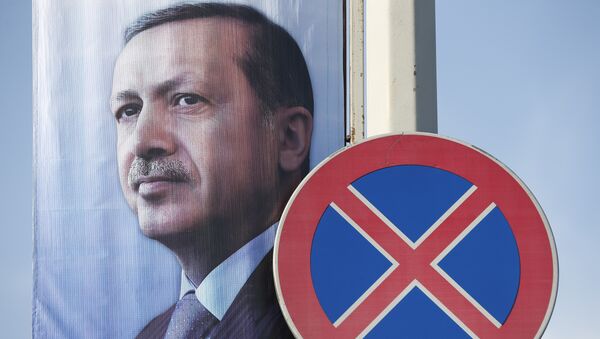 Un poster avec une image du président de la Turquie Recep Tayyip Erdogan - Sputnik Afrique