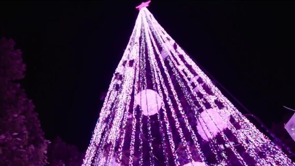 L’Australie bat le record du sapin de Noël le plus illuminé - Sputnik Afrique