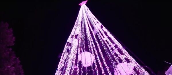 L’Australie bat le record du sapin de Noël le plus illuminé - Sputnik Afrique