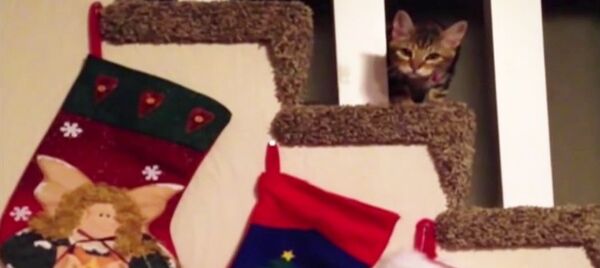 Un mauvais Père Noël Un mauvais Père Noël - Sputnik Afrique