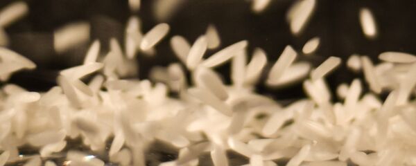 riz - Sputnik Afrique