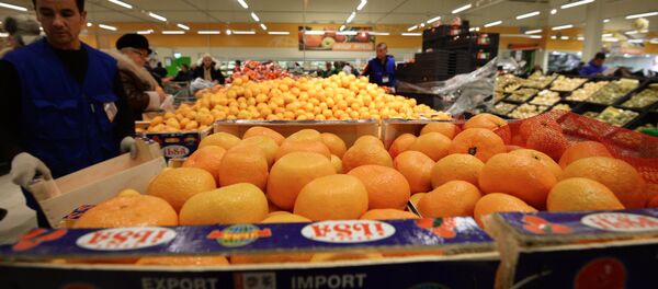 Le gouvernement russe entérine la riposte économique contre la Turquie - Sputnik Afrique