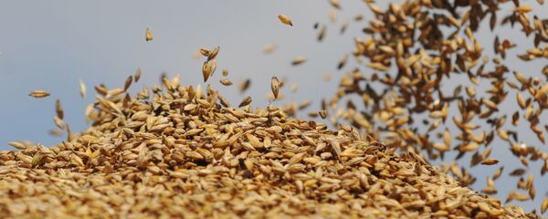 orge - Sputnik Afrique