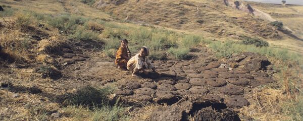 Таджикские девочки заготавливают кизяк Таджикские девочки заготавливают кизяк - Sputnik Afrique