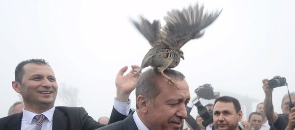 le président turc Recep Tayyip Erdogan - Sputnik Afrique