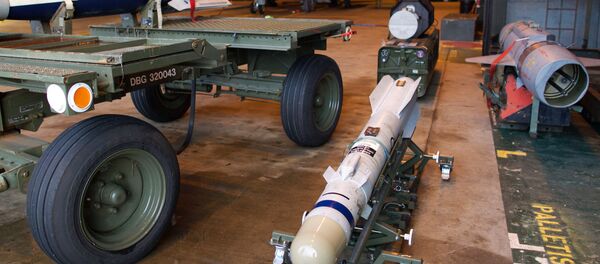 Les aventures d'un missile - Sputnik Afrique