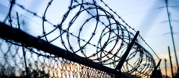 clôture - Sputnik Afrique