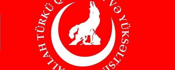 loups gris - Sputnik Afrique