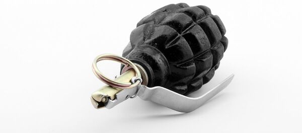 Une grenade - Sputnik Afrique