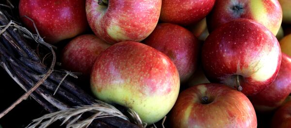 Les sanctions contre Moscou risquent de ruiner les agriculteurs allemands Les sanctions contre Moscou risquent de ruiner les agriculteurs allemands - Sputnik Afrique