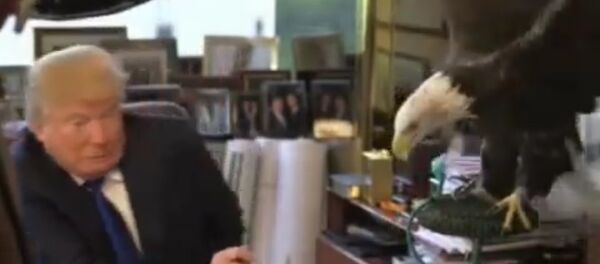 Donald Trump attaqué par un aigle lors d’une session photo - Sputnik Afrique