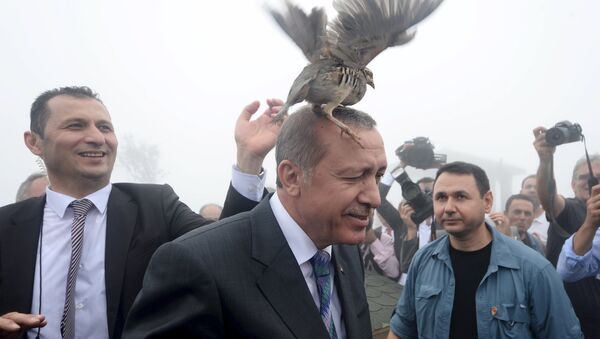 Erdogan n'est pas du genre à se faire caricaturer - Sputnik Afrique