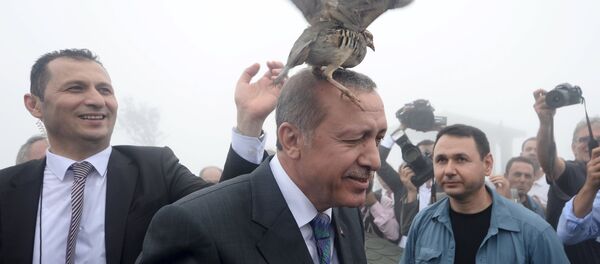 Erdogan n'est pas du genre à se faire caricaturer - Sputnik Afrique
