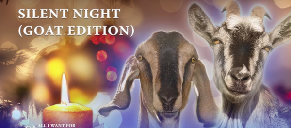 Les boucs vous bêlent le Joyeux Noël - Sputnik Afrique