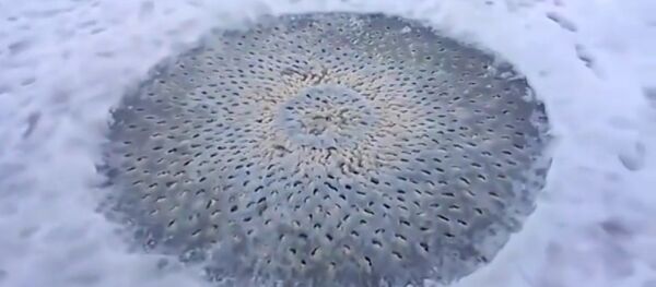 Un objet étrange trouvé en plein milieu d'un lac gelé aux USA - Sputnik Afrique