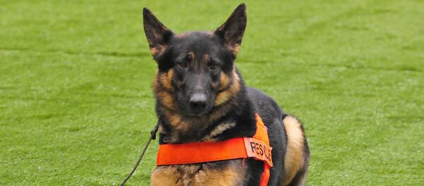 berger - Sputnik Afrique