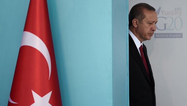 Erdogan paye le prix fort pour avoir flirté avec les radicaux en Syrie - Sputnik Afrique