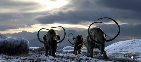 Mammouths - Sputnik Afrique