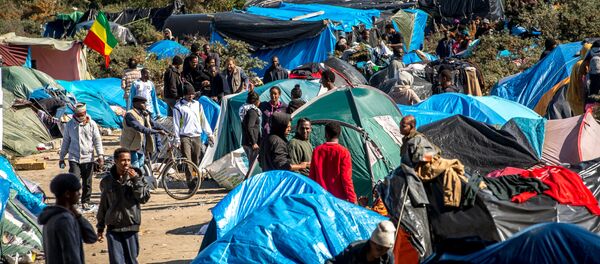 Une Jungle de migrants - Sputnik Afrique