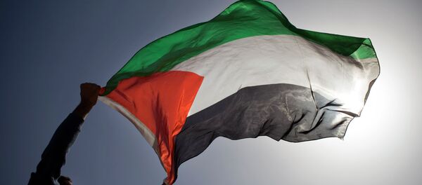 Le drapeau palestinien - Sputnik Afrique