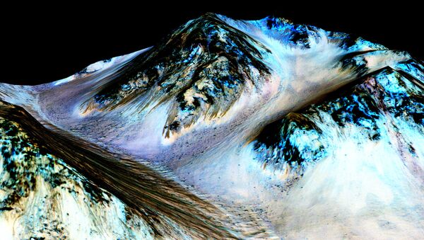 Recurring 'Lineae' on Slopes at Hale Crater, Mars - Sputnik Afrique