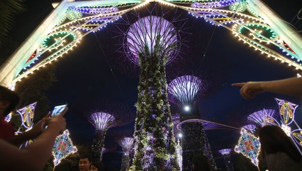 Les arbres gigantesques dans le parc Gardens by the Bay à Singapour - Sputnik Afrique