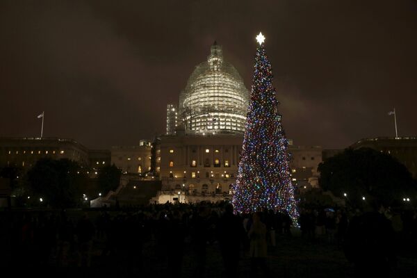 Le sapin de Noël devant le Capitole à Washington - Sputnik Afrique