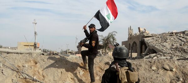 Le drapeau irakien dans les mains d'un membre des forces de sécuruté irakiennes à Ramadi - Sputnik Afrique