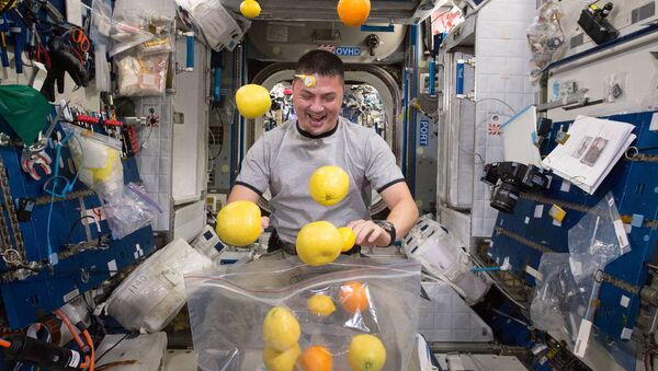 L'astronaute sur la Station spatiale internationale. Image d'illustration - Sputnik Afrique