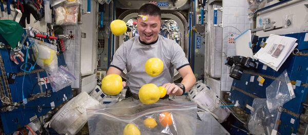 L'astronaute sur la Station spatiale internationale. Image d'illustration - Sputnik Afrique