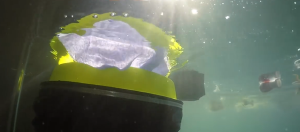 L’aspirateur sous-marin - Sputnik Afrique