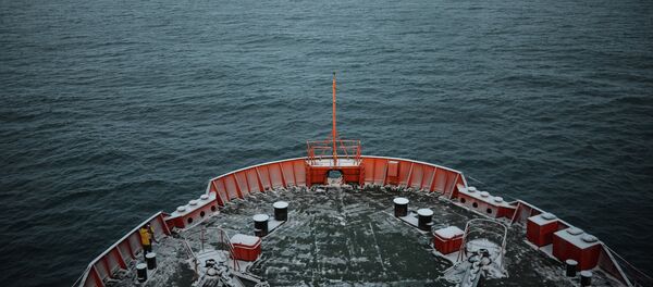 North Pole expedition - Sputnik Afrique