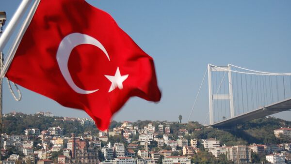 Bosphorus Bridge and Turkish Flag - Sputnik Afrique