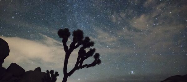 Une pluie d'étoiles filantes - Sputnik Afrique