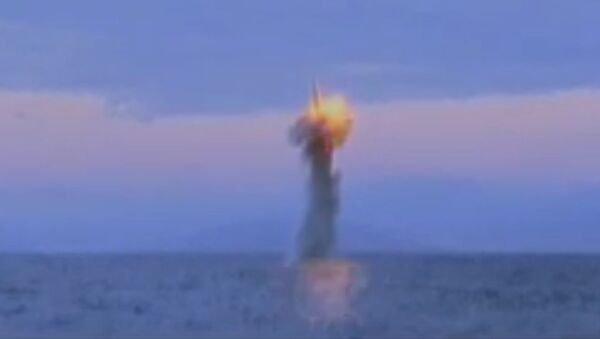 North Korean Submarine Launches Missile Test - Sputnik Afrique