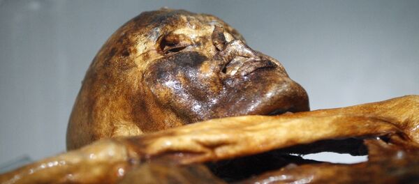 Ötzi, l'homme de Hauslabjoch - Sputnik Afrique