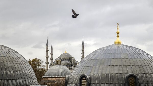 Vue sur la Mosquée bleue d'Istanbul - Sputnik Afrique