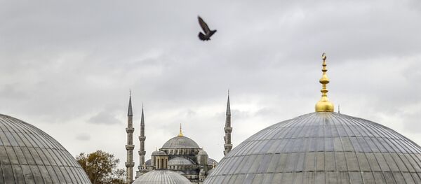 Vue sur la Mosquée bleue d'Istanbul - Sputnik Afrique